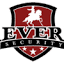 reveresecurity.com