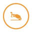 scrapcarstango.com