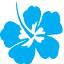 1clickhawaii.com