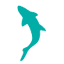 aquariumofthebay.org