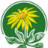 cnps-yerbabuena.org