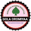 golaoromiyaa.com