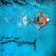 lancy-natation.ch