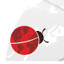 satravelbug.co.za