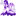 thepurplemermaid.com
