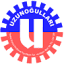 uzunogullari.com