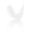 breezlyte.com