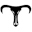 bullbike.net