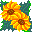 flo.com.ua