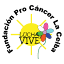 fundacionprocancerlc.org