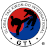 gti-taekwondo.com