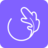 roquette.bzh