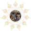 shrivitthal.com