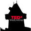 tedxmedunigraz.com