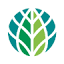 worldbioenergy.org
