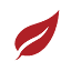 7leavescafe.com