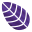 aafiyalife.com