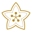 ananjapan.com