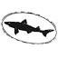 dogfishalehouse.com