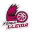 flleida.cat