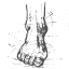 naotofcanberra.com.au