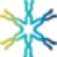 teamtelomere.org