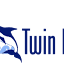 twindolphinsrealty.com