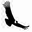 avesdechile.cl
