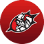 bergenrugby.no