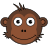 dataapa.net
