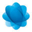 dw.net