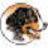 hunde-kausnacks.de