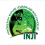 injiwarrior.com