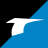 novng.ru