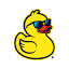 onlineduckrace.com