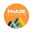 phaseaustria.org