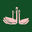 swanbevy.com