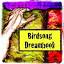 birdsongdreambook.com