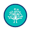 bluetreehealthtx.com