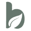 brisbanecitypsychologists.com.au