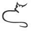catwelfareassoc.org