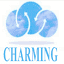 charmingcloud.net