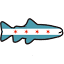 chifly.com