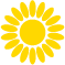 compositae.org