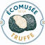 ecomuseedelatruffe.com