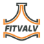 fitvalv.cl