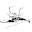 ganni.ch