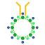 immunoact.com