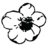 lens-roses.com