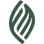 olivearabia.com